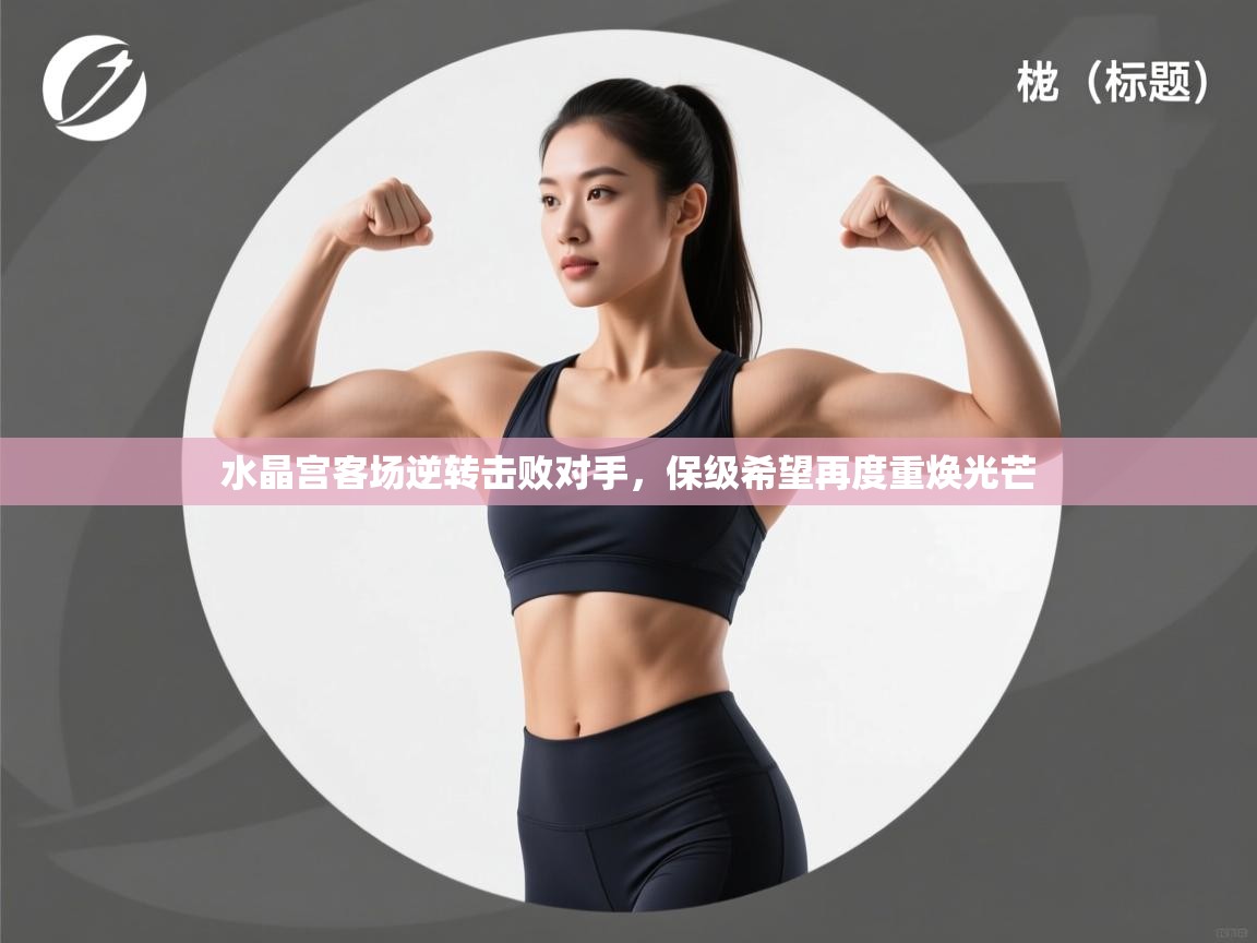 水晶宫客场逆转击败对手,保级希望再度重焕光芒 第2张