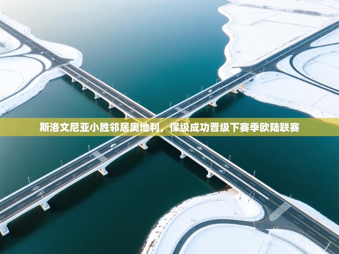 斯洛文尼亚小胜邻居奥地利,保级成功晋级下赛季欧陆联赛 第1张