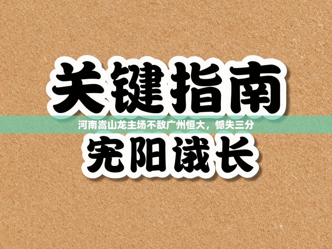 河南嵩山龙主场不敌广州恒大,憾失三分 第1张