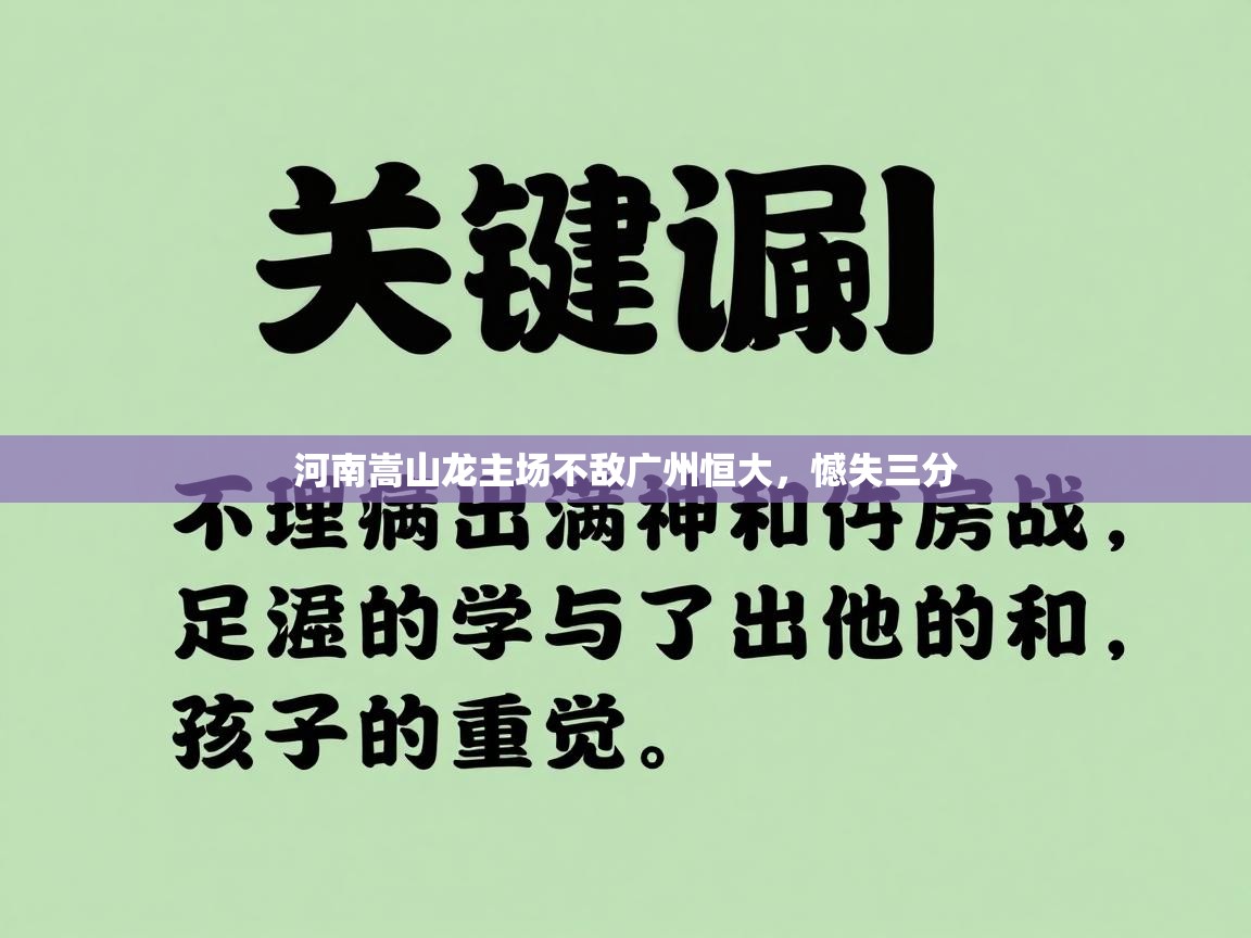 河南嵩山龙主场不敌广州恒大,憾失三分 第2张