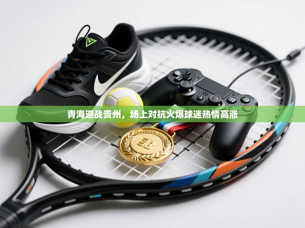 青海迎战贵州，场上对抗火爆球迷热情高涨  第2张