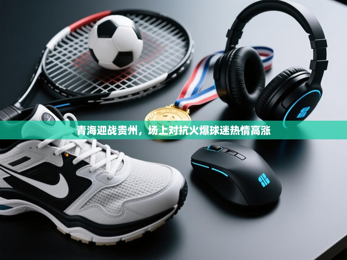 青海迎战贵州，场上对抗火爆球迷热情高涨  第1张