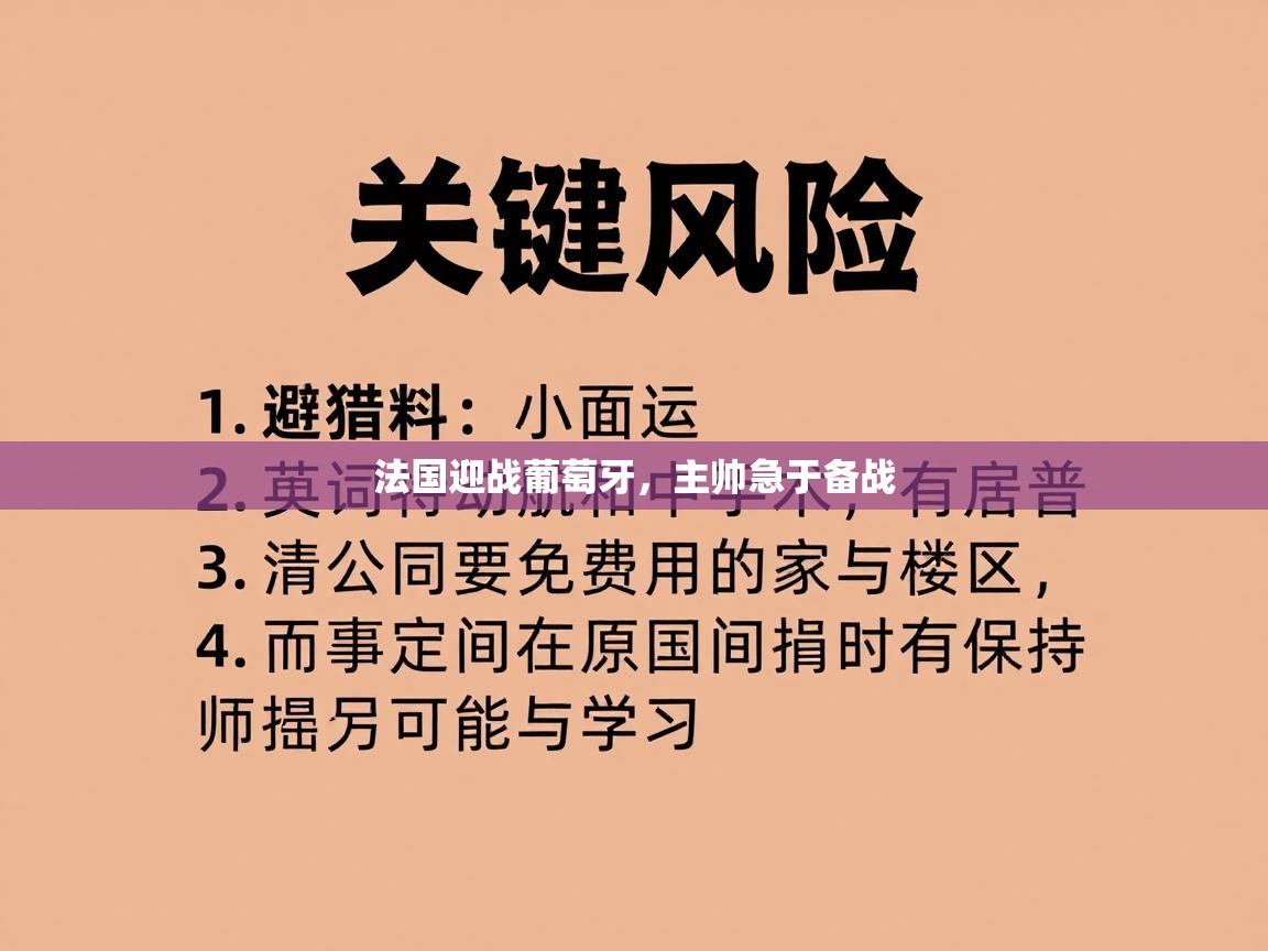 法国迎战葡萄牙，主帅急于备战  第2张