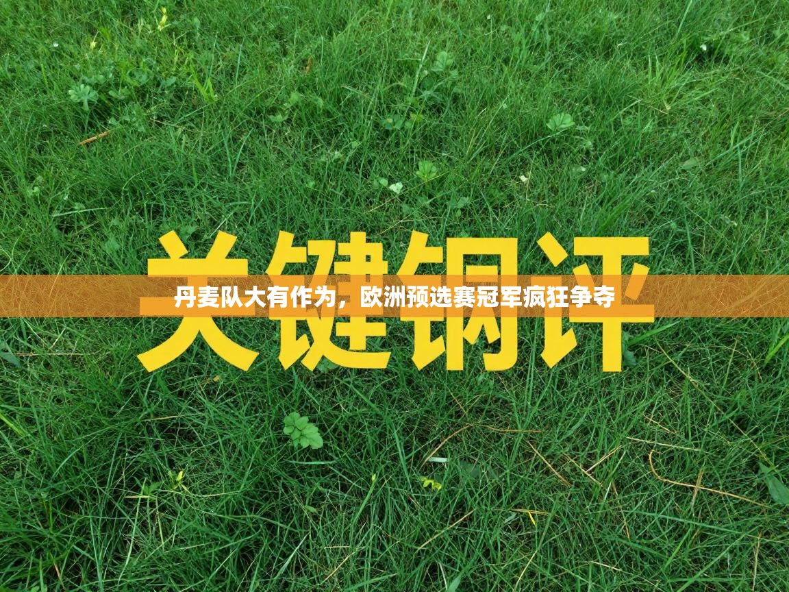 丹麦队大有作为,欧洲预选赛冠军疯狂争夺 第1张